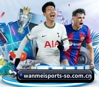 完美体育的方向 - WANMEI SPORTS
